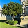 Riverside County Superior Court - Historic Landmark Designation
