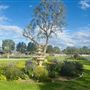 The Farm