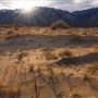Olancha Sand Dunes - Bureau of Land Management - California Desert District - Ridgecrest Field Office - BLM - Off Highway Vehicle Area - OHV