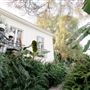 Louisiana French Colonial House