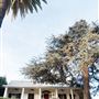 Louisiana French Colonial House