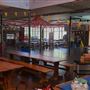 The Painted Turtle Camp