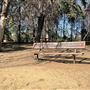 Griffith Park Redwoods - Cedar Grove