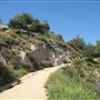 Griffith Observatory - Griffith Park
