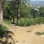 Griffith Observatory - Griffith Park