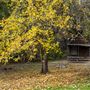 Malakoff Diggins State Historic Park (SHP)