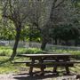 Malakoff Diggins State Historic Park (SHP)