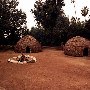 Los Angeles County Arboretum