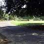 Los Angeles County Arboretum