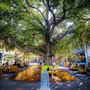 Santana Row