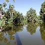 Los Angeles County Arboretum