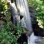 Los Angeles County Arboretum