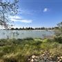 Peck Road Water Conservation Park