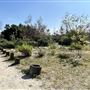 Peck Road Water Conservation Park