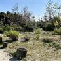 Peck Road Water Conservation Park