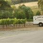 Mt. Vernon Winery