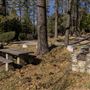 Mount San Jacinto State Park (SP) & Palm Springs Aerial Tramway