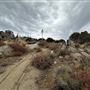 Bufford Ranch, managed by Golden Ranch Estates