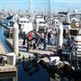 Cabrillo Marina