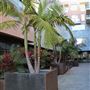 5245 Santa Monica Blvd