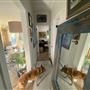 Chic Laguna Cottage