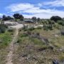 39459 Opalocka Road Suite 1648