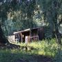 RAINE Ranch