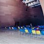 Walt Disney Concert Hall - Los Angeles Music Center
