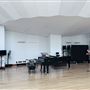 Walt Disney Concert Hall - Los Angeles Music Center