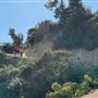 Boy Scout Trail - Griffith Park