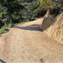 Boy Scout Trail - Griffith Park