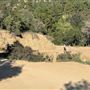 Boy Scout Trail - Griffith Park
