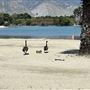 Santa Fe Dam Recreational Area