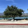 Santa Fe Dam Recreational Area
