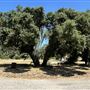 Peter Strauss Ranch - National Park Service (NPS)