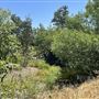 Peter Strauss Ranch - National Park Service (NPS)