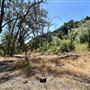 Peter Strauss Ranch - National Park Service (NPS)