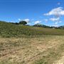 Halter Ranch