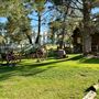 Stockdale Ranch