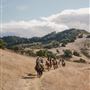 Alisal Ranch