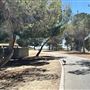 Apollo Community Regional Park