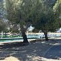 Apollo Community Regional Park