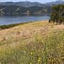 Lake Casitas Recreation Area