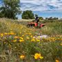 Prairie City State Vehicular Recreation Area (SVRA)