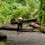 Prairie Creek Redwoods State Park (SP) within the Redwood National and State Parks