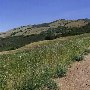 Mount Diablo State Park (SP)