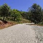 Mount Diablo State Park (SP)