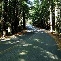 Mount Tamalpais State Park (SP)