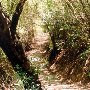 Newton Canyon Trailhead / Kanan Dume Tunnel #1 - National Park Service (NPS)