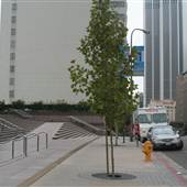 Grand Ave. corner of 5th and Grand
